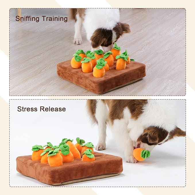 Carrot Snuffle Mat