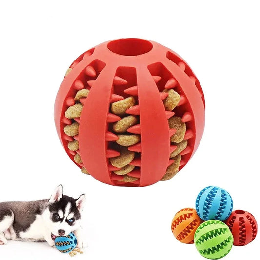 Rubber Ball Chew Toy