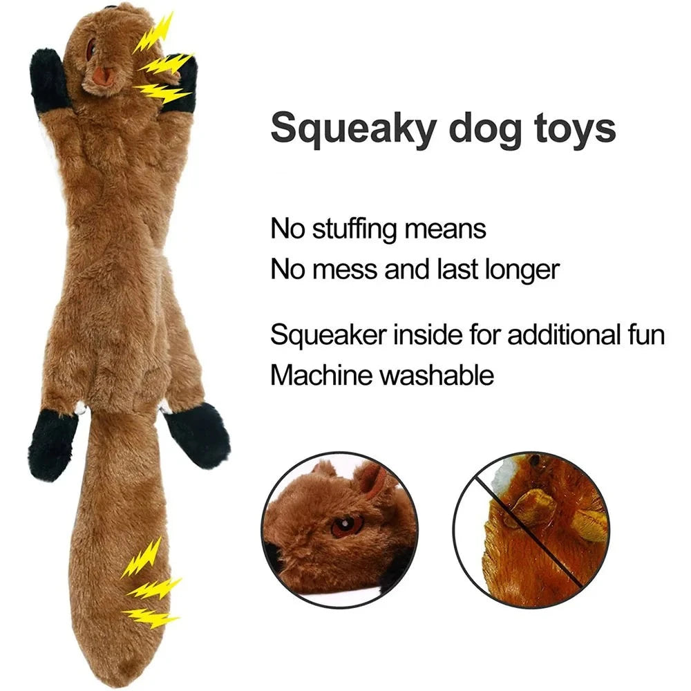 Squeaky Crinkle Chew Toy